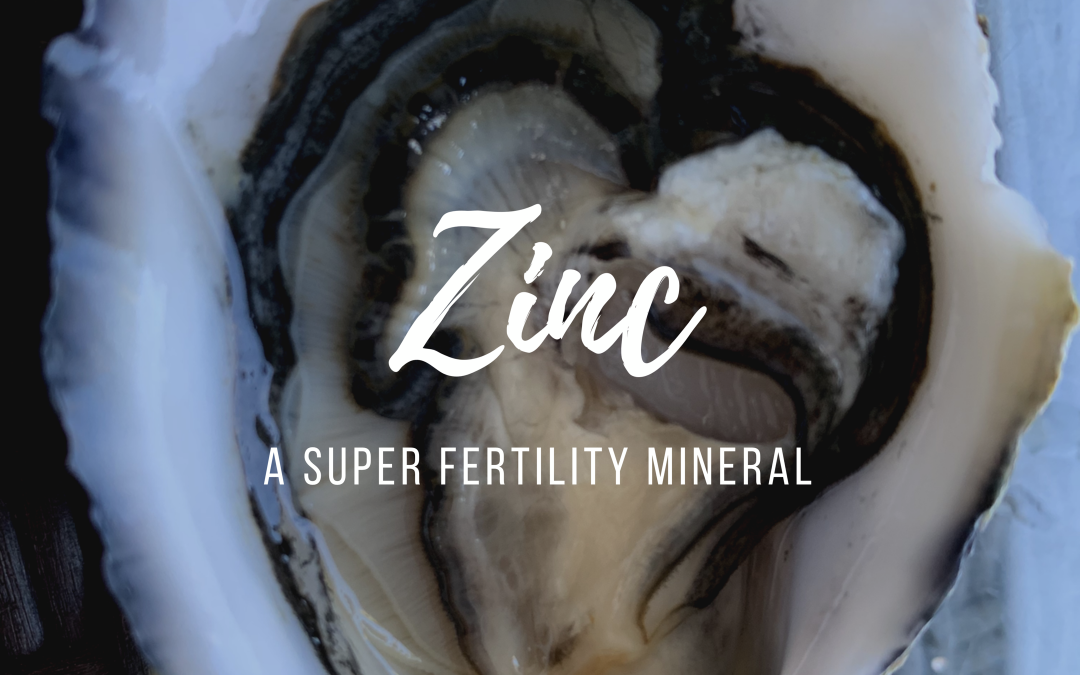 The Benefits of Zinc in Fertility